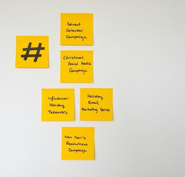 seo growth campaign experts